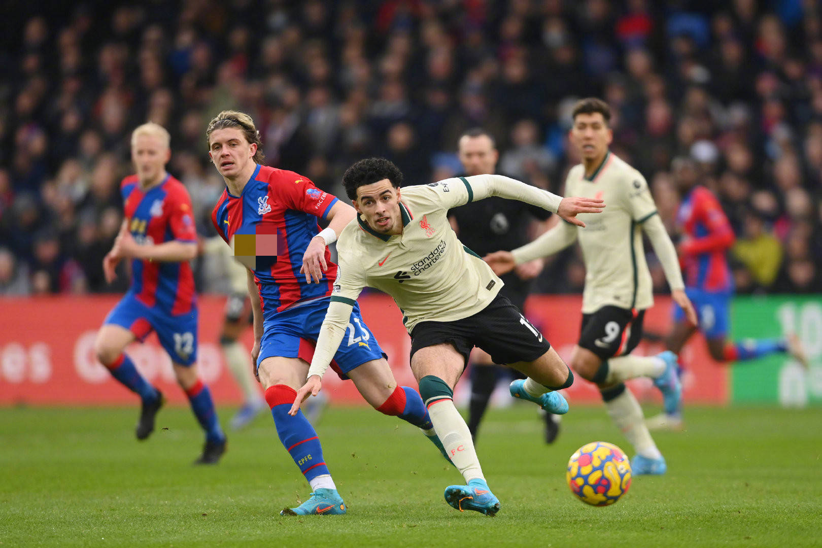 引进像小基 引进像小基